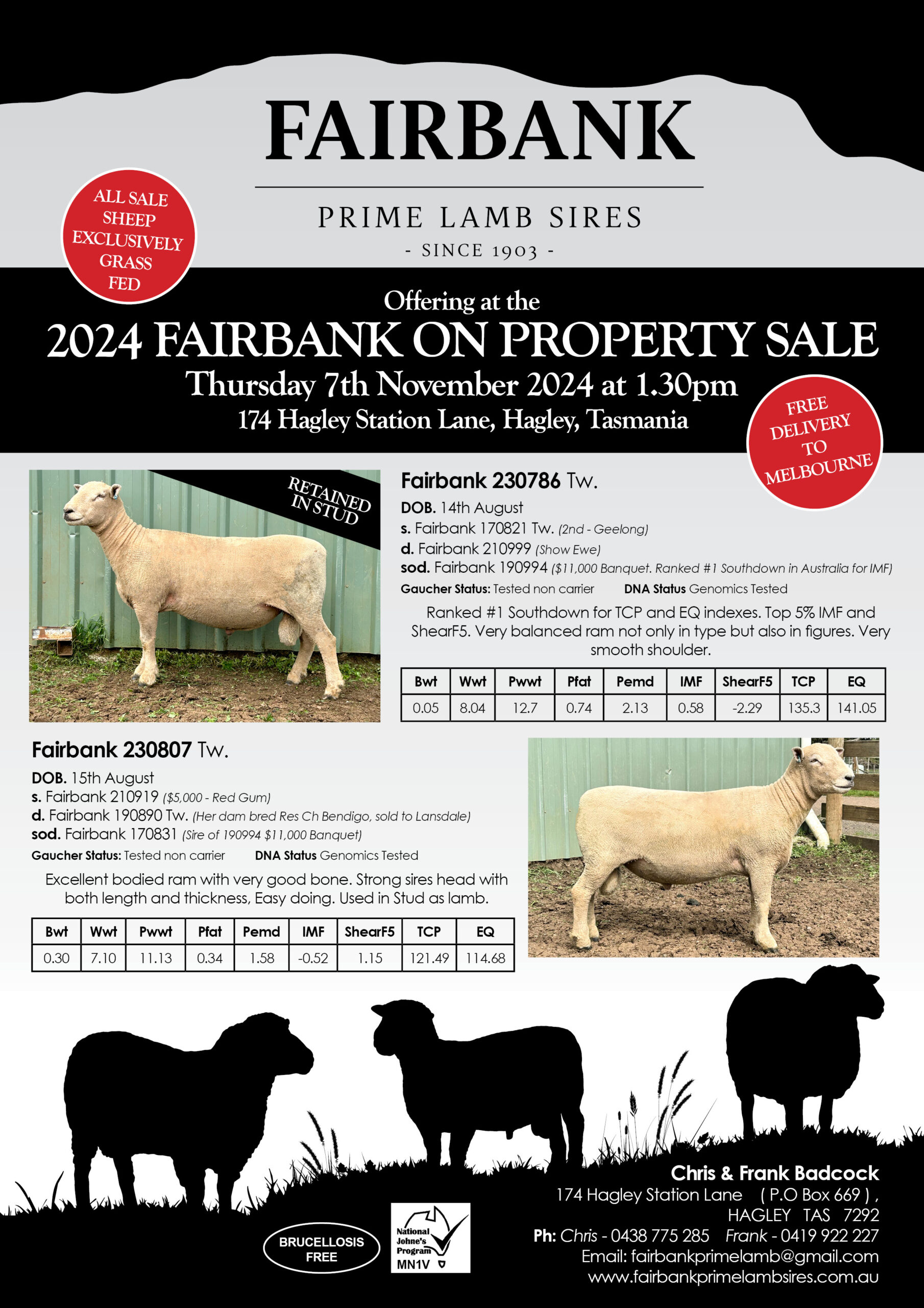 Fairbank_Flyer 2024